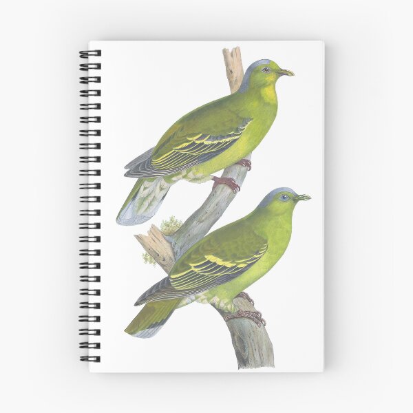 Item preview, Osmoteron Pompadora Doves Vintage Color Lithograph designed and sold by ElegantTeaTime.