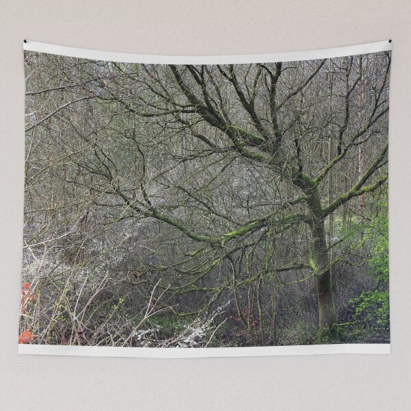 Item preview, SPRING WOODLAND / COME DANCE WITH ME designed and sold by MIKESCOTT.