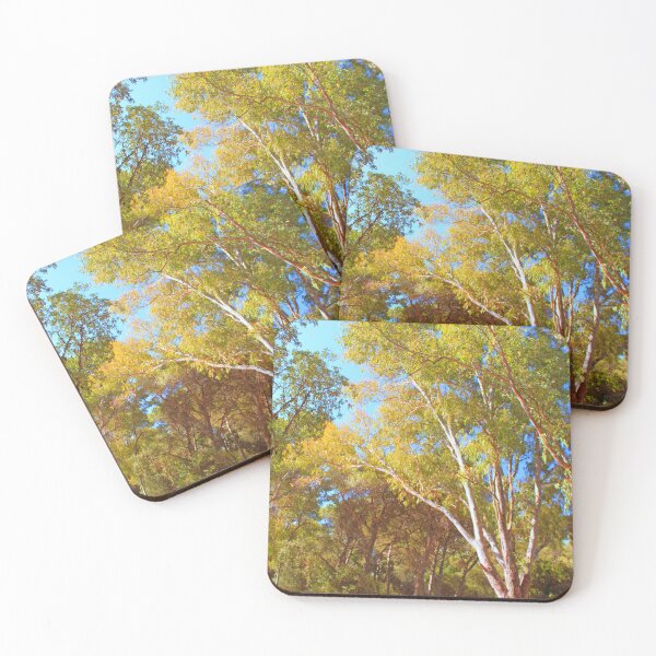 Item preview, eucalipto designed and sold by Tereza Pilar  Art.