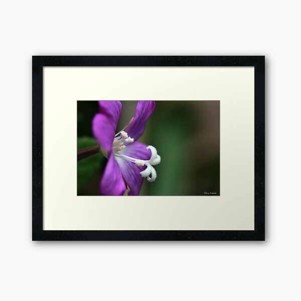 Item preview, Wonder of nature. designed and sold by imagic.