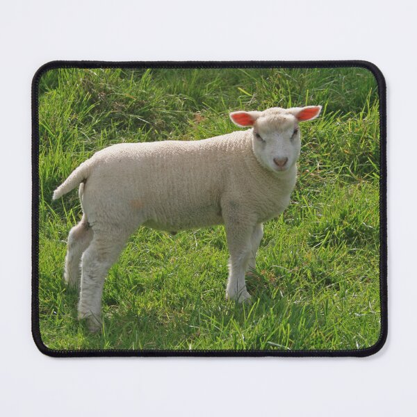 Item preview, Spring Lamb designed and sold by RedHillDigital.
