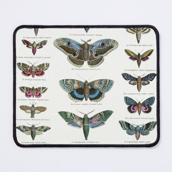 Item preview, Moths | Ernst Fröhlich designed and sold by LaMadeleine.