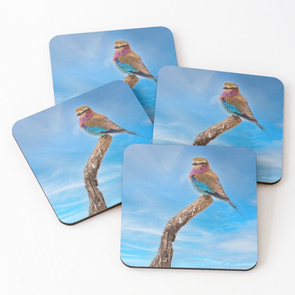 Item preview, Beauty With Wings, The Lilac Breasted Roller designed and sold by Kay Brewer.