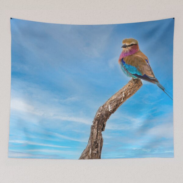 Item preview, Beauty With Wings, The Lilac Breasted Roller designed and sold by Kay Brewer.