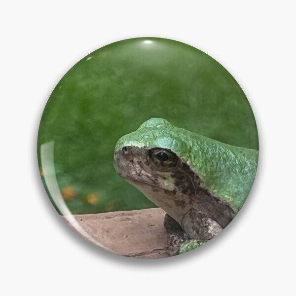 Item preview, Sitting Frog designed and sold by xTwistedColorsx.
