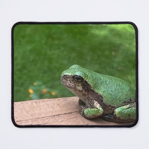 Item preview, Sitting Frog designed and sold by xTwistedColorsx.
