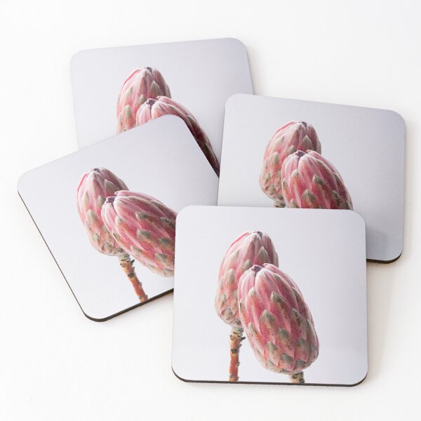 Item preview, Protea flower aesthetic poster designed and sold by stsuzirya.