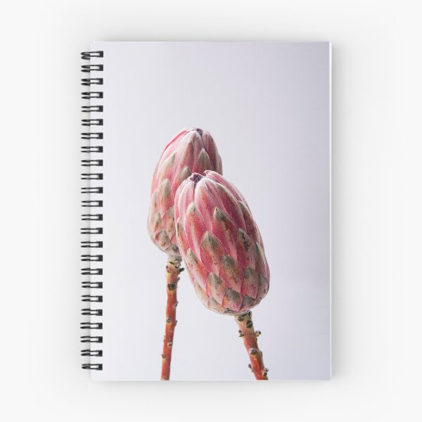 Item preview, Protea flower aesthetic poster designed and sold by stsuzirya.