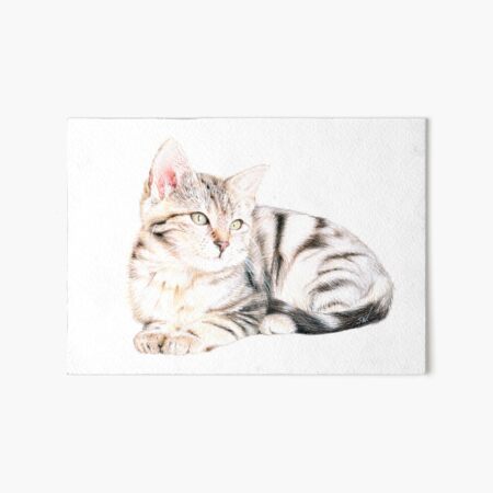 Item preview, Kitten designed and sold by SandraWarmerdam.