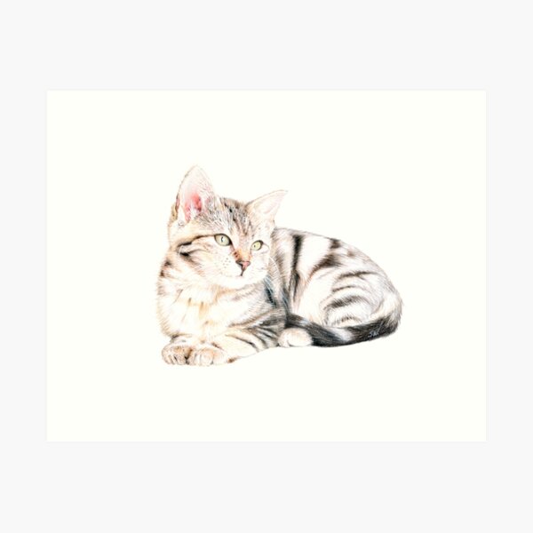 Item preview, Kitten designed and sold by SandraWarmerdam.