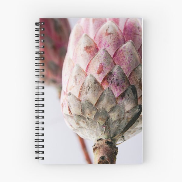 Item preview, Protea flower aesthetic floral photo designed and sold by stsuzirya.