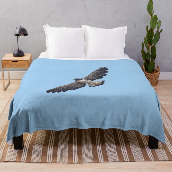 Item preview, White Tailed Hawk Color Design designed and sold by designsasstultd.