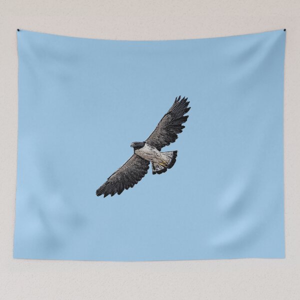 Item preview, White Tailed Hawk Black Alternate Design  designed and sold by designsasstultd.