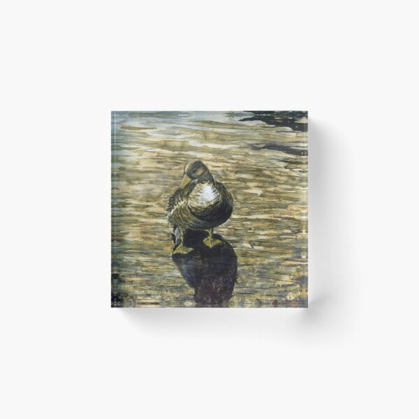 Item preview, Greylag Goose at Derwentwater: Two designed and sold by LymphomaLass.