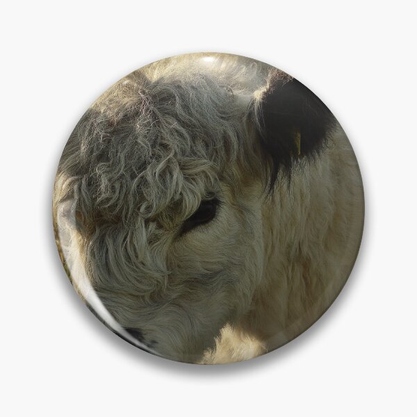 Item preview, Beautiful Galloway cow designed and sold by Vanja Rosenthal.
