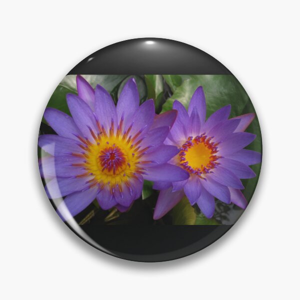 Item preview, Lotus Sisters designed and sold by jennycloseup.