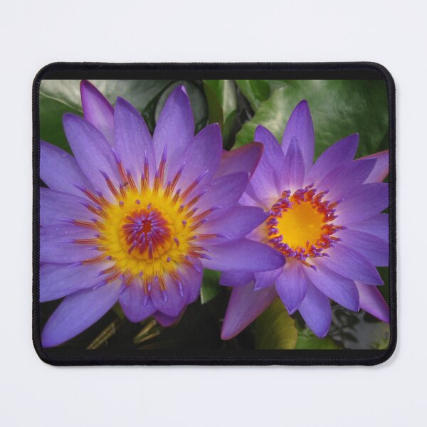 Item preview, Lotus Sisters designed and sold by jennycloseup.