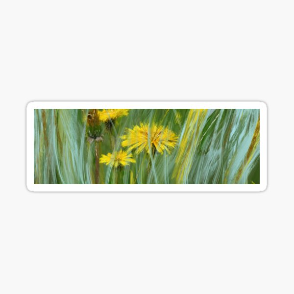 Fiore di tarassaco predominanza dĂ verde fiore giallo Sticker