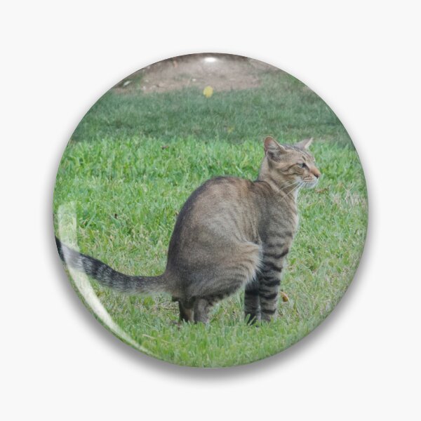 Item preview, Cat on the grass designed and sold by Ntograph.