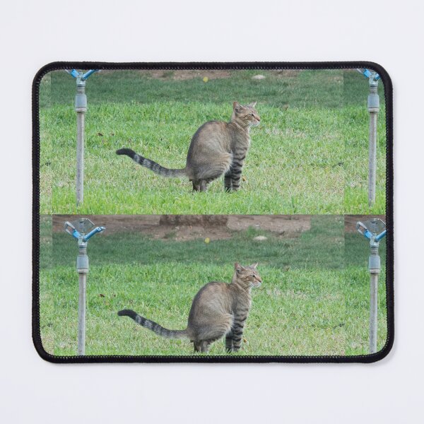 Item preview, Cat on the grass designed and sold by Ntograph.