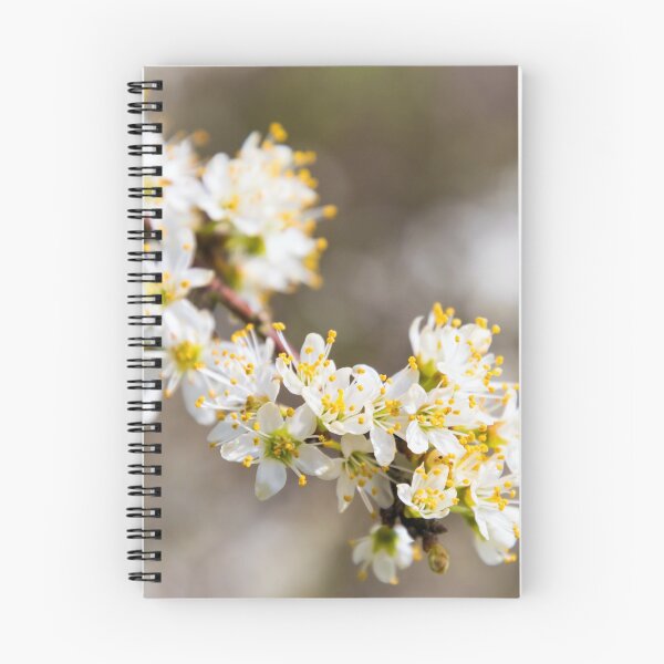 Item preview, Blackthorn designed and sold by JEZ22.