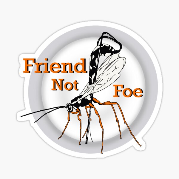 Friend Not Foe Light Sticker