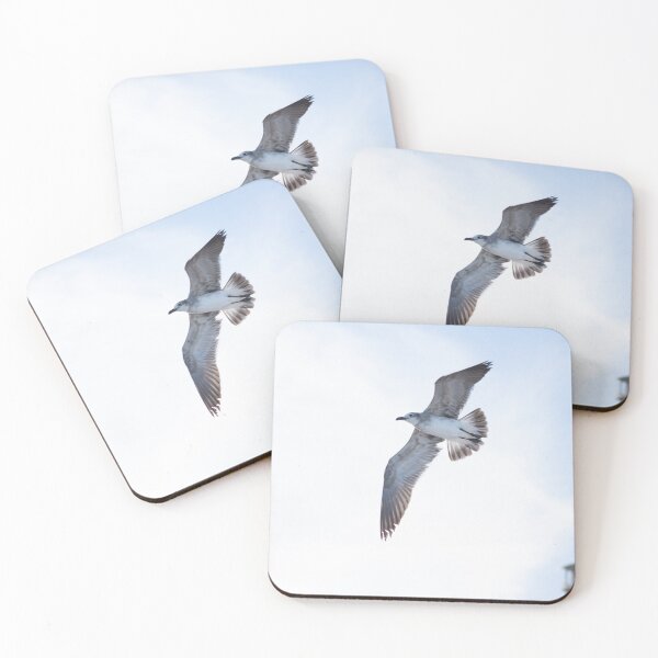 Item preview, beach seagull designed and sold by sarelitay.