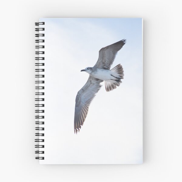 Item preview, beach seagull designed and sold by sarelitay.