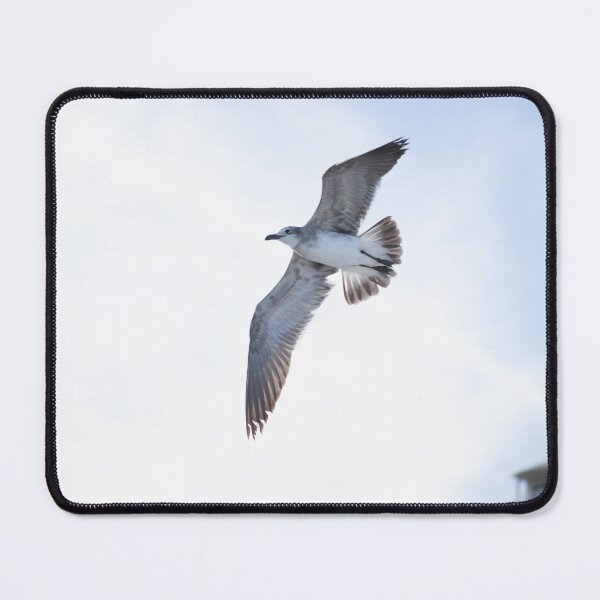 Item preview, beach seagull designed and sold by sarelitay.