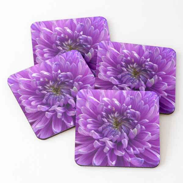 Item preview, Gorgeous Purple Chrysanthemum Bloom designed and sold by jaynerushton.