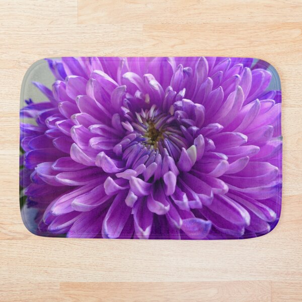 Aperçu de l'œuvre Magnifique floraison de chrysanthème violet créée et vendue par jaynerushton.