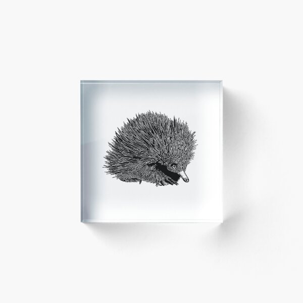 Item preview, Black and white echidna illustration designed and sold by Lulu-Bells.