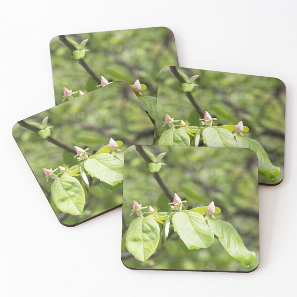 Item preview, Quince Buds and Velvety Leaves designed and sold by Georgia Mizuleva.