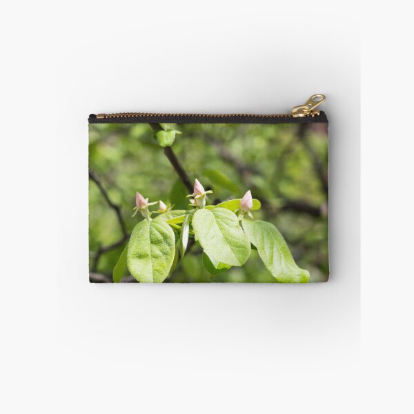 Item preview, Quince Buds and Velvety Leaves designed and sold by Georgia Mizuleva.