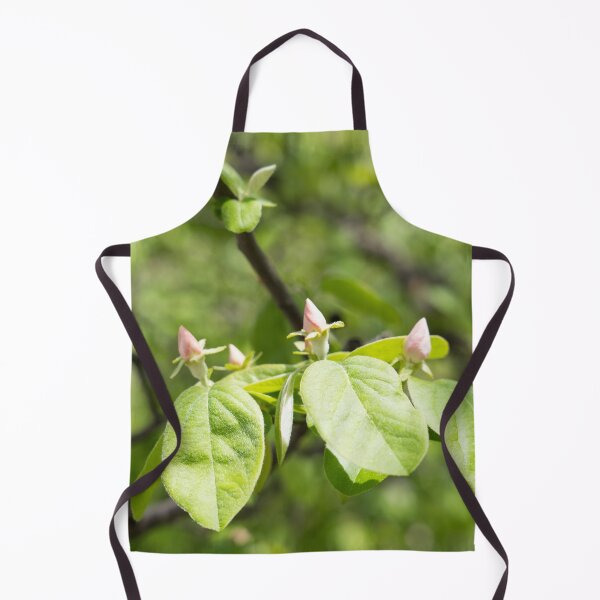 Item preview, Quince Buds and Velvety Leaves designed and sold by Georgia Mizuleva.