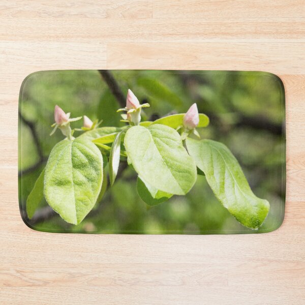 Item preview, Quince Buds and Velvety Leaves designed and sold by Georgia Mizuleva.