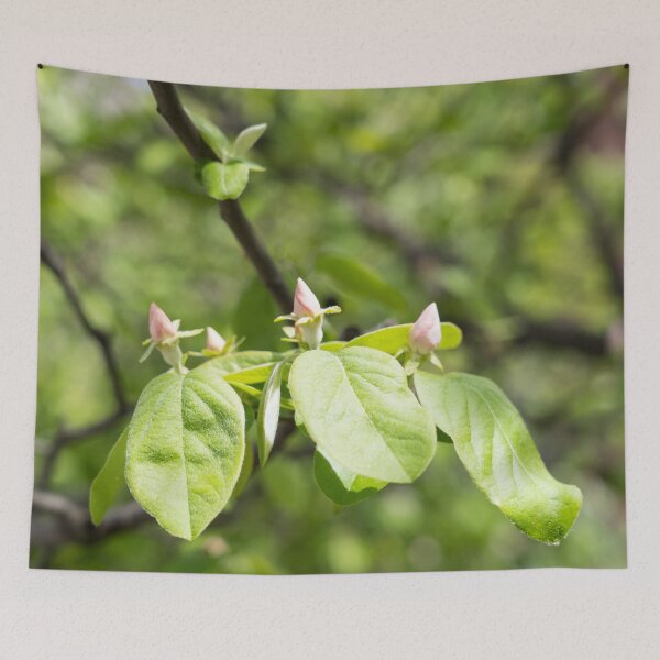 Item preview, Quince Buds and Velvety Leaves designed and sold by Georgia Mizuleva.