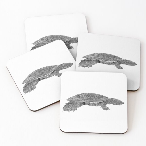 Item preview, Bell's turtle an endangered Australian freshwater turtle illustration designed and sold by Lulu-Bells.