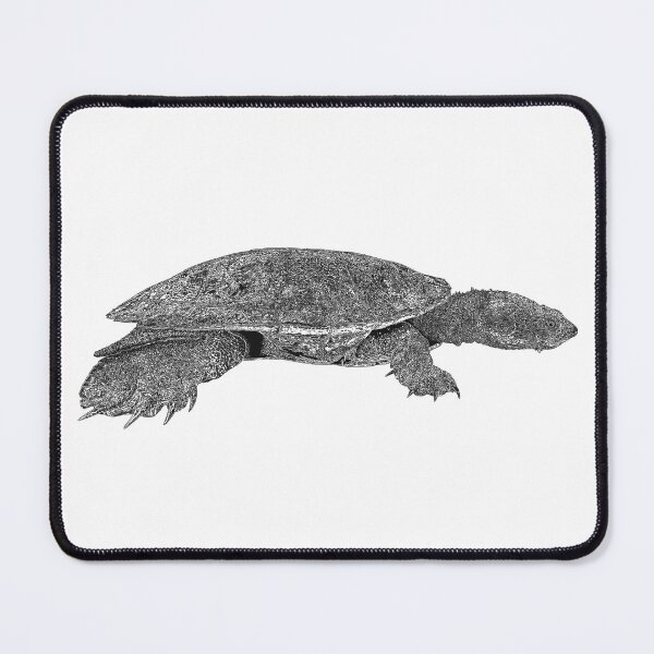 Item preview, Bell's turtle an endangered Australian freshwater turtle illustration designed and sold by Lulu-Bells.