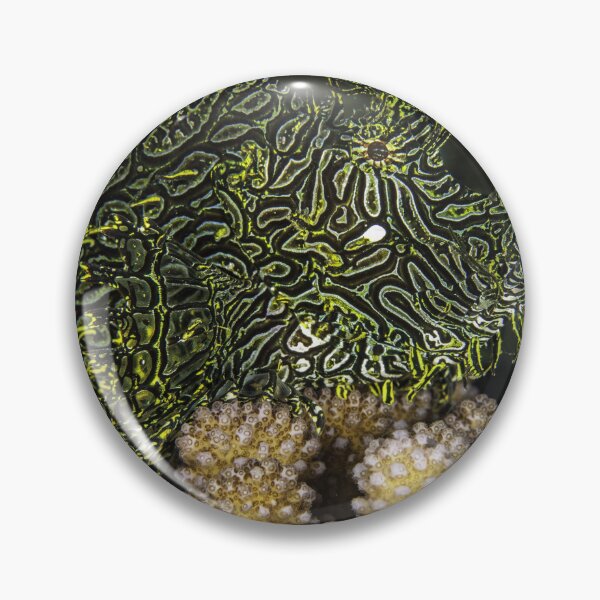 Item preview, Hidden designed and sold by David Wachenfeld.