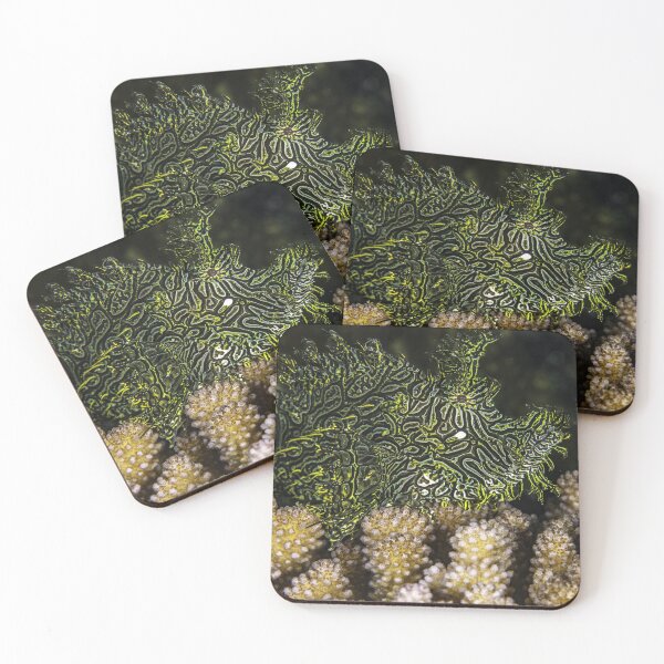 Item preview, Hidden designed and sold by David Wachenfeld.
