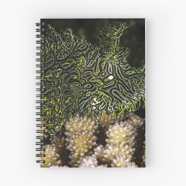 Item preview, Hidden designed and sold by David Wachenfeld.