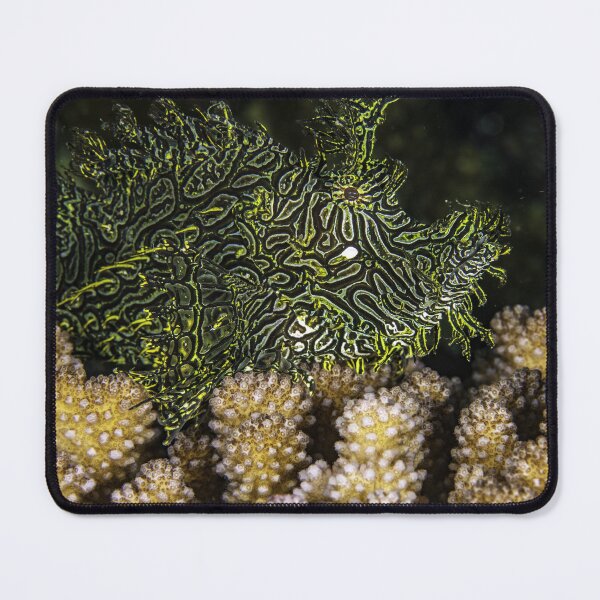 Item preview, Hidden designed and sold by David Wachenfeld.