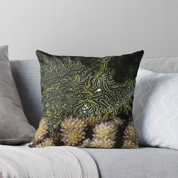 Item preview, Hidden designed and sold by David Wachenfeld.