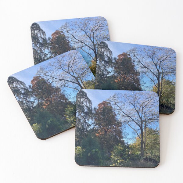 Item preview,  16 Toulouse Plant Garden by AFAVISION designed and sold by AFAVISION.