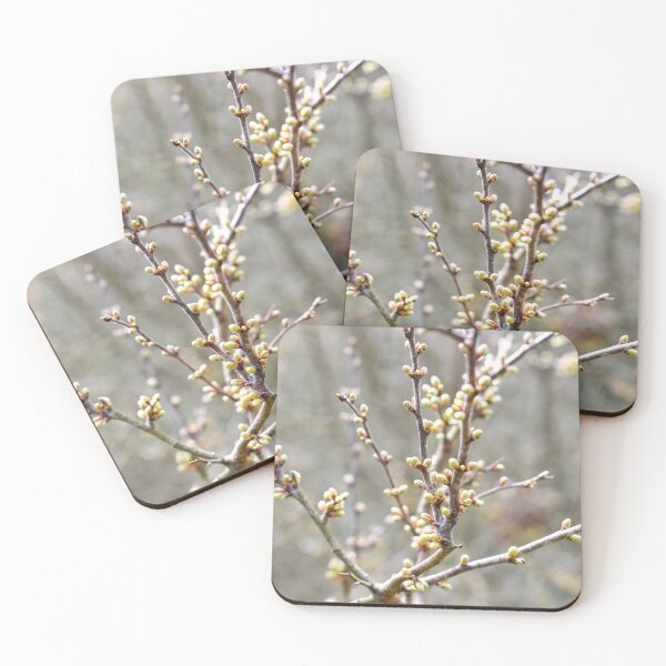 Item preview, Close-up view of tree branches designed and sold by Anastasia Kaneva.