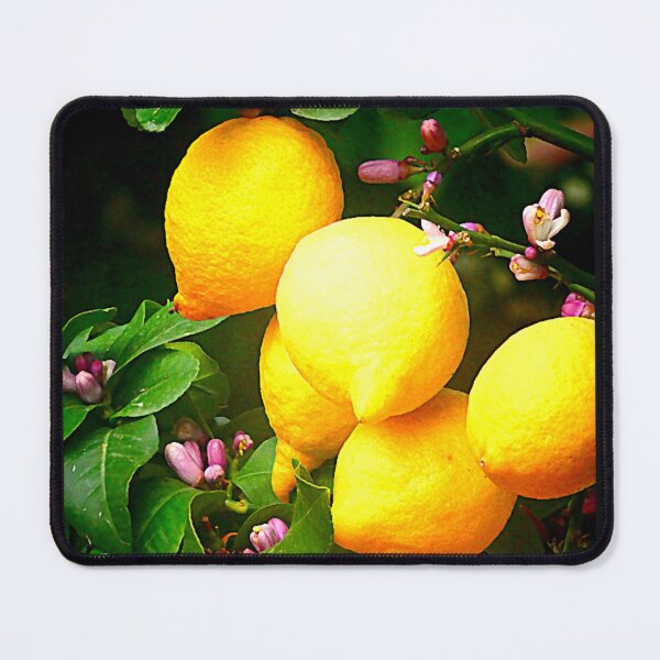 Item preview, Lemon Tree very pretty designed and sold by PeterBurrows.