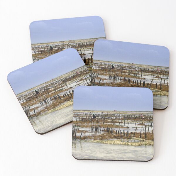 Item preview, The algae cultivation in Jambiani designed and sold by annalisa56.
