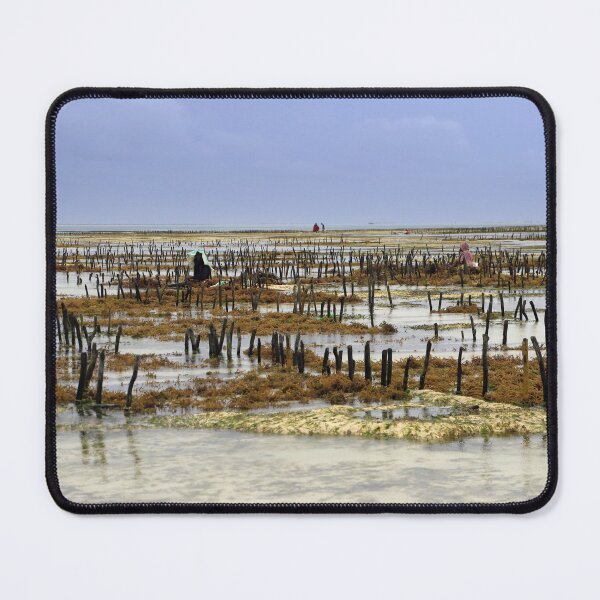 Item preview, The algae cultivation in Jambiani designed and sold by annalisa56.