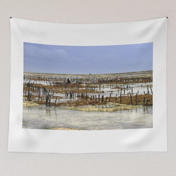 Item preview, The algae cultivation in Jambiani designed and sold by annalisa56.